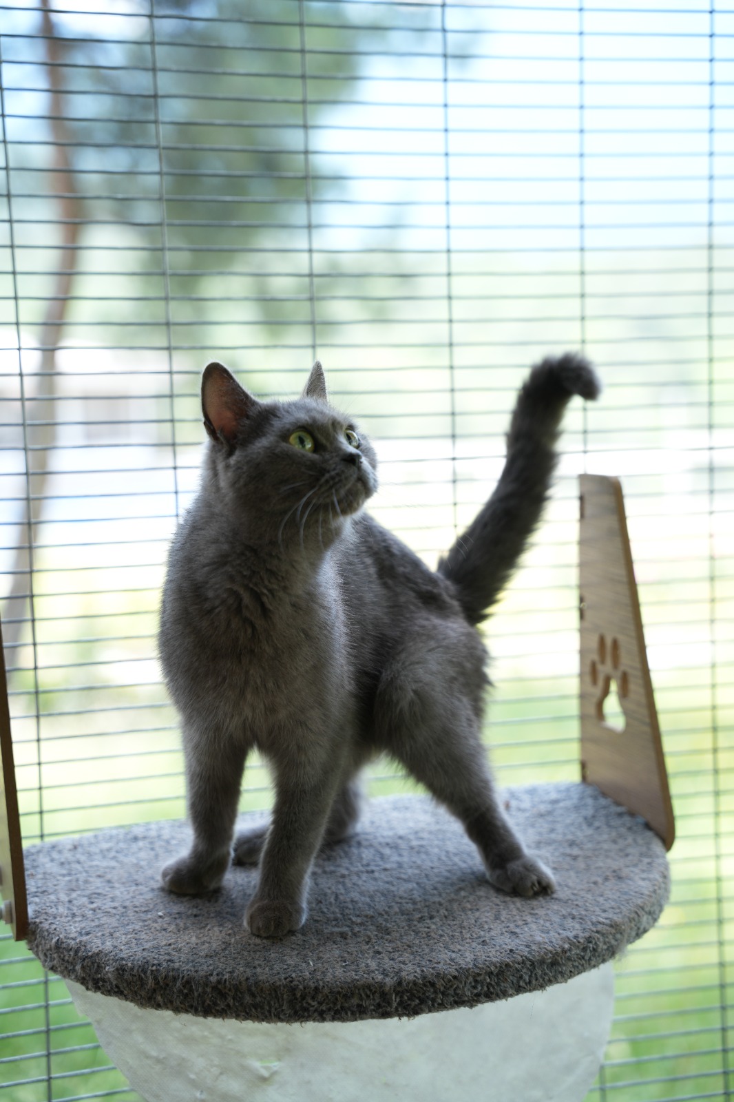 products-image